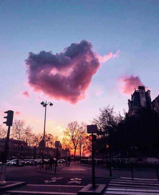 Tử vi thứ Năm ngày 19/9/2019 của 12 con giáp: Dần nóng nảy làm hỏng việc, Tỵ tiền bạc xài thả ga-2