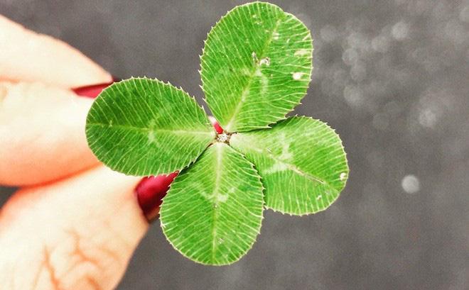 Năm 2020 sẽ là năm vận tình tiền đỏ rực của 3 cung hoàng đạo sau đây, mua két đi là vừa-3