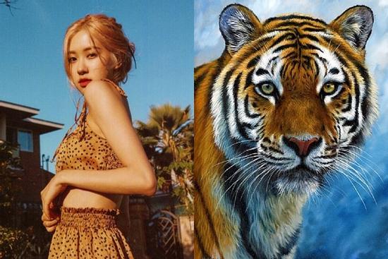 Cuối tuần này: 3 con giáp may mắn hơn người, tha hồ hốt vàng hốt bạc về tay