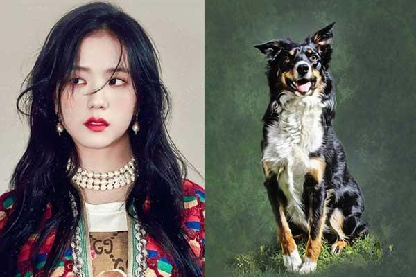 Con vật đầu tiên bạn nhìn thấy tiết lộ tính cách của bạn chuẩn không cần chỉnh-9