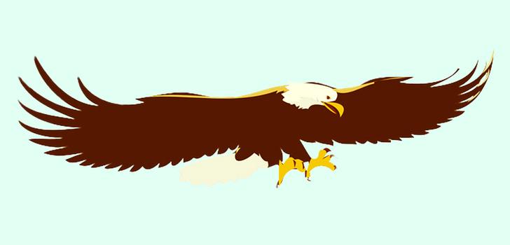 Con vật đầu tiên bạn nhìn thấy tiết lộ tính cách của bạn chuẩn không cần chỉnh-3