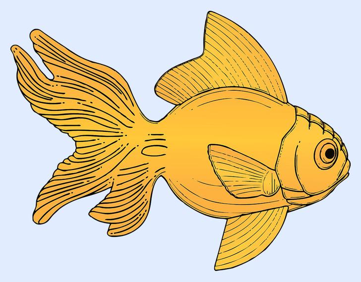 Con vật đầu tiên bạn nhìn thấy tiết lộ tính cách của bạn chuẩn không cần chỉnh-8