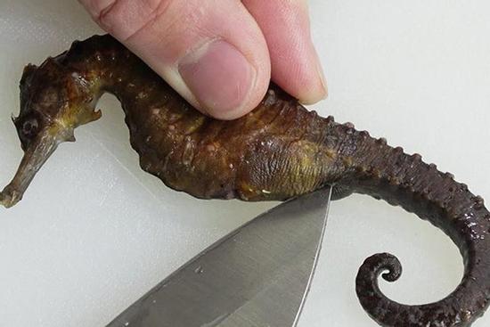 Thử làm cá ngựa chiên giòn, món nhậu khoái khẩu với bia