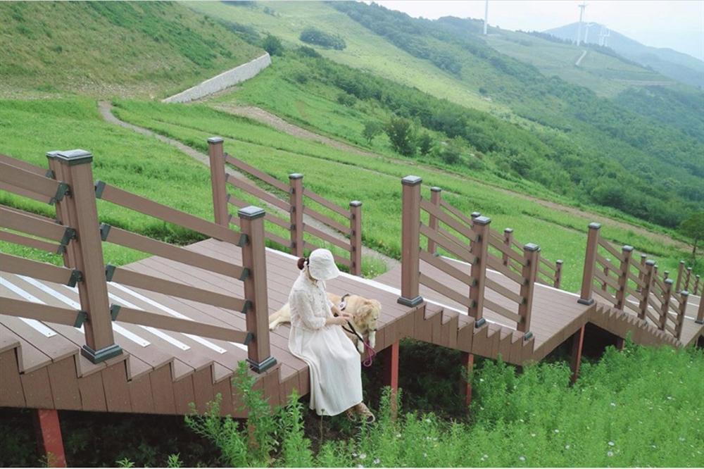 Check-in 3 địa điểm đẹp như phim trong mùa thu Hàn Quốc-5