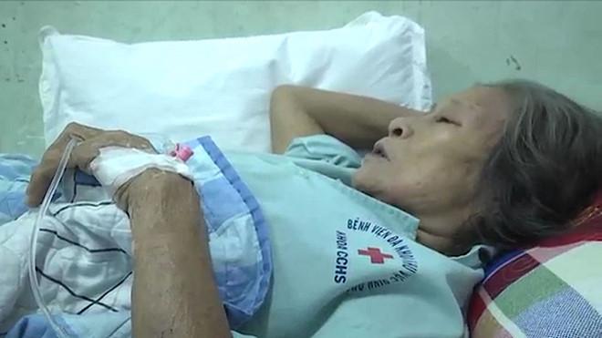 9 người nhập viện cấp cứu vì ong vò vẽ đốt-1