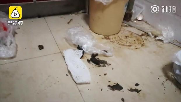 Đi ở trọ, hotgirl triệu follower bị tố sống bẩn để phòng ngập ngụa rác lại có cả phân chó-4