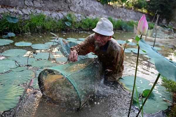 Anh hùng phi công Nguyễn Văn Bảy qua đời-1