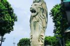 Dân mạng tranh cãi, tiếc nuối khi nghe tin tượng sư tử ở Singapore sắp bị dỡ bỏ