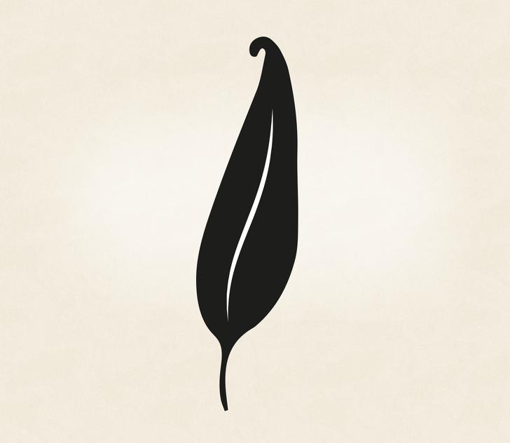 Thử xem bạn thích cây bút nào, đảm bảo nó sẽ chỉ ra tính cách của bạn chuẩn xác nhất-2