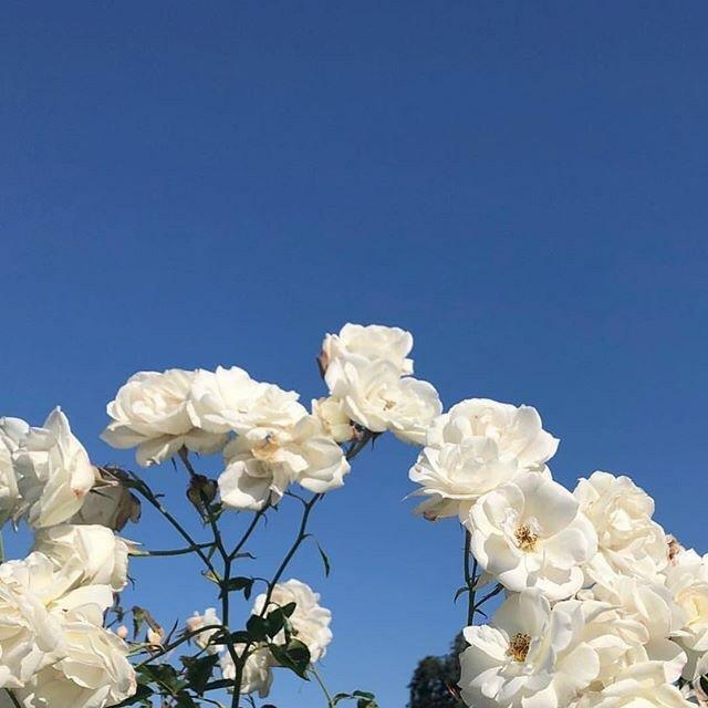 Tử vi thứ Tư ngày 25/9/2019 của 12 con giáp: Sửu không lo rỗng túi, Thìn bế tắc công việc-2