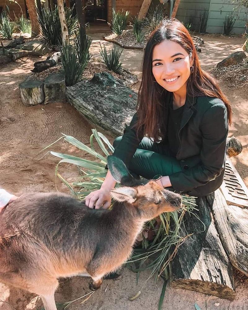 Bản tin Hoa hậu Hoàn vũ 25/9: Hoàng Thùy make-up xuất thần, bỗng đẹp ngang ngửa dàn đối thủ nặng ký-11