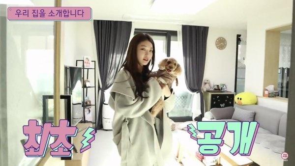 Vì sao có hàng triệu người trẻ muốn làm idol bất chấp khó khăn, gian khổ?-3