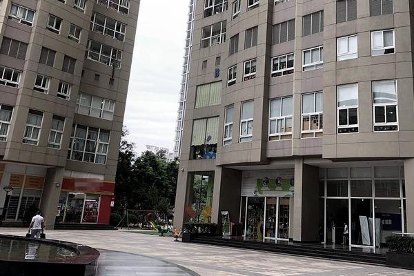 Phó giám đốc Sở Nông nghiệp Hà Nội tự nhảy từ tầng 27, không bị sát hại-1