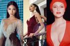 Hoàng Thùy và một loạt mỹ nhân đua nhau nâng ngực cấp tốc để thi Miss Universe 2019?