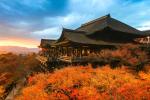 Ngắm mùa thu đẹp hút hồn du khách ở Nhật Bản