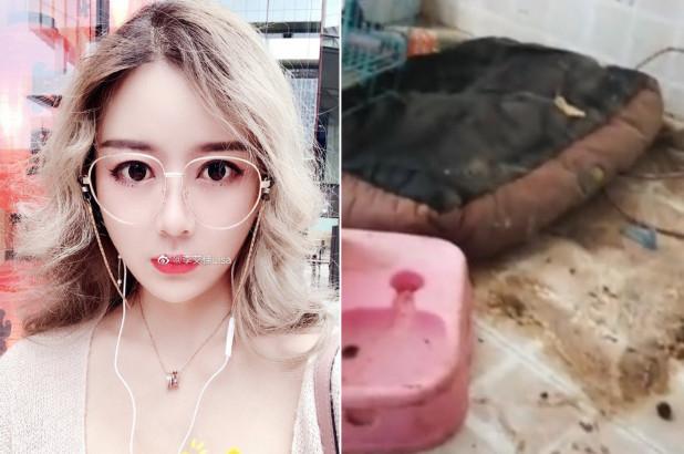 Hot girl triệu fan bị chủ nhà trọ bóc phốt ở bẩn, quỵt tiền-1