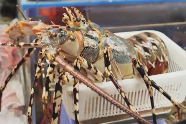 Tự tay làm sốt mayonnaise ngon lành chưa tới 10 phút-1