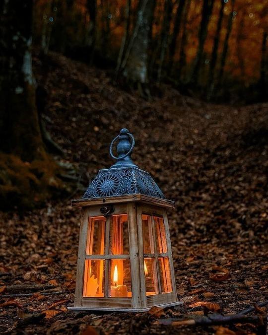 Tử vi thứ Ba ngày 1/10/2019 của 12 con giáp: Tý suy giảm sức khỏe, Dần tự mãn quá cao-2