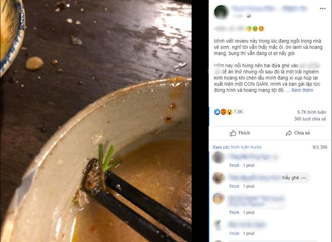 Đang húp nước lẩu ngon lành, thanh niên chết khiếp phát hiện con gián chết trong nồi-1