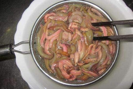 Con vật khiến nhiều chị em 'chạy mất dép', giá cao vẫn đắt khách