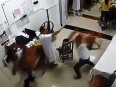 Clip: Ông bố đang cầm dây truyền nước cho con đột nhiên cầm ghế lao vào đánh nhau với bác sĩ-1