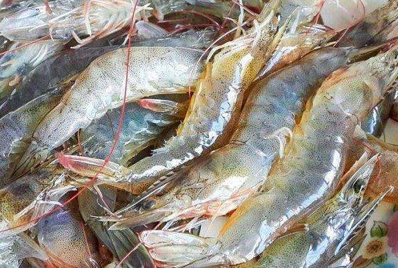 Thêm 1 bước này, tôm bảo quản trong tủ lạnh tươi như mới lại không bị mùi-1