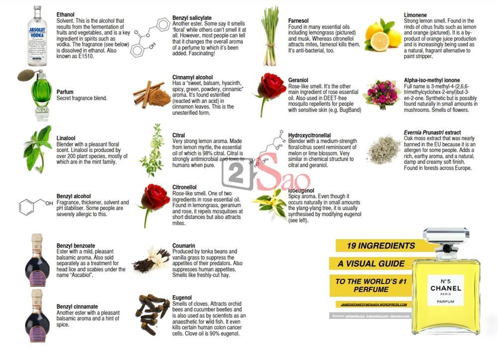 Sĩ Thanh lại bị ném đá vì cho nước hoa vào dưỡng chất để xông mặt-4