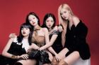 Nhờ 'siêu hit' Ddu-du Ddu-du, BlackPink lần nữa lập kỉ lục - trở thành girlgroup Kpop đầu tiên làm được điều này