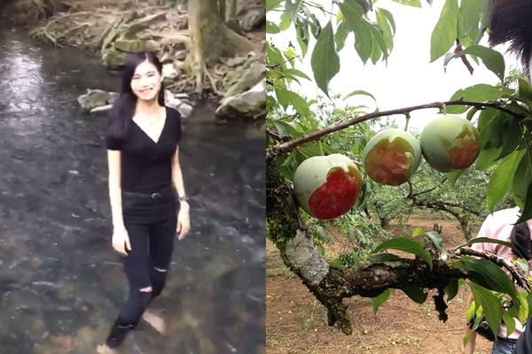 Chàng trai lên mạng khoe giàu bị chỉ trích nói khoác-6