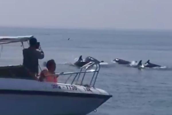 Du khách phá rào leo núi Bài Thơ bất chấp lệnh cấm ở Quảng Ninh-3