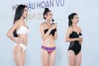 Khán giả phản ứng khi Hoa hậu Hoàn vũ Việt Nam không lên sóng VTV