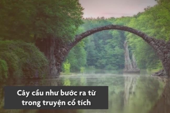 8 luật cấm dành cho người có hình xăm trên khắp thế giới-9