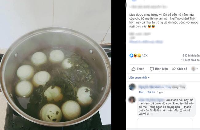 Chê em gái vụng vì không biết hầm trứng vịt lộn ngải cứu, anh trai bị dân mạng phản đòn-1