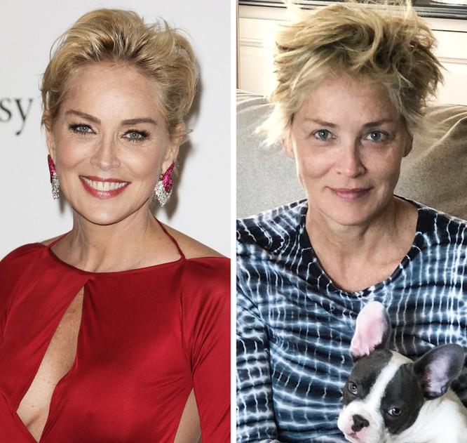 Diễn viên Sharon Stone