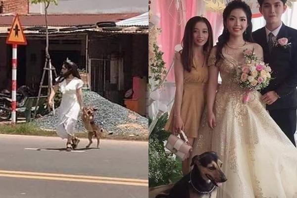 Mạng xã hội lùng sục sự thật về bức ảnh cô dâu 1m94 lấy chú rể cao 1m4 ở Hải Phòng-4