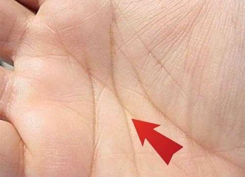 Bàn tay có 5 điểm này chứng tỏ thần Tài hộ mệnh, càng lớn tuổi càng dễ phát tài-2