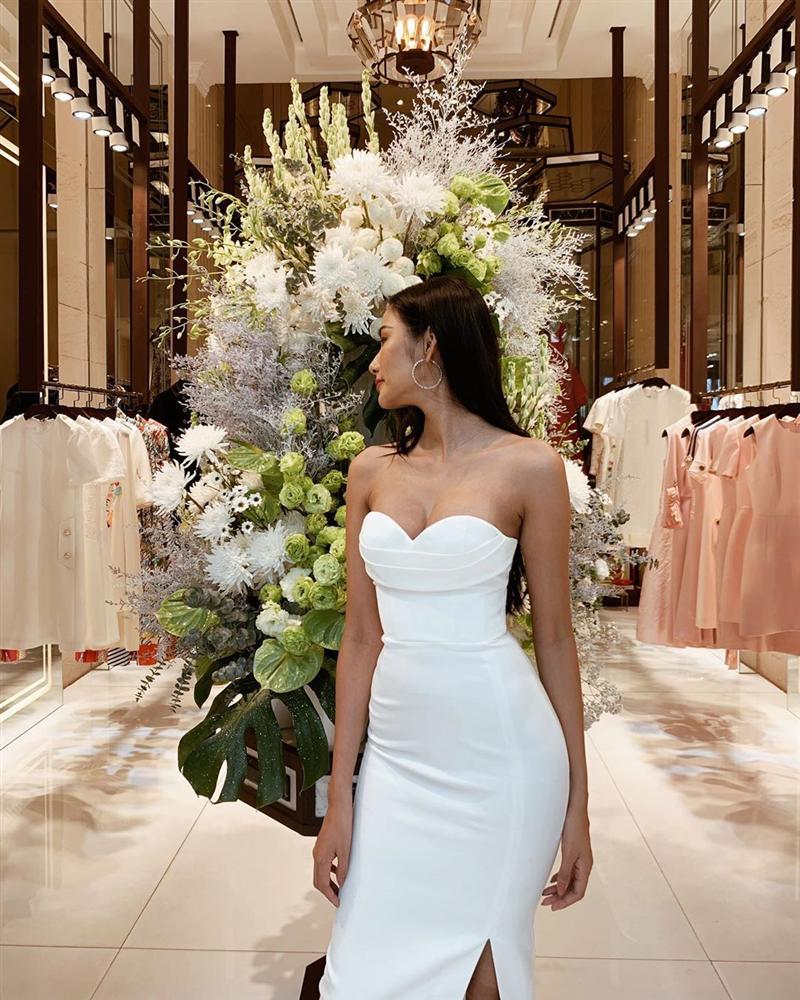 Bản tin Hoa hậu Hoàn vũ 8/10: Hoàng Thùy khoe ngực sexy nhưng đáng tiếc spotlight lại thuộc về Iris-2