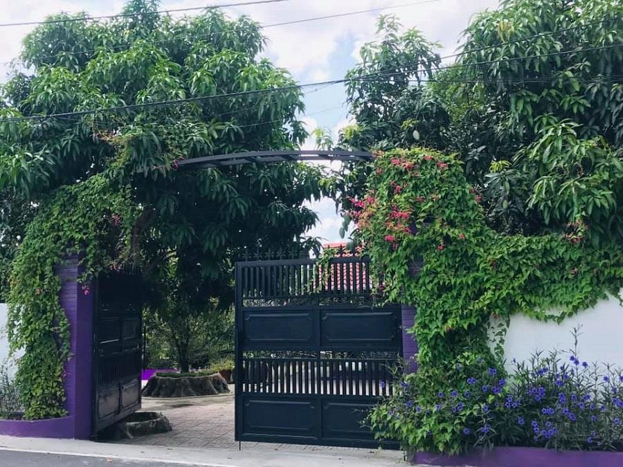 Cư dân mạng bấn loạn vì căn nhà màu tím lịm nổi bật cả một vùng trời-1