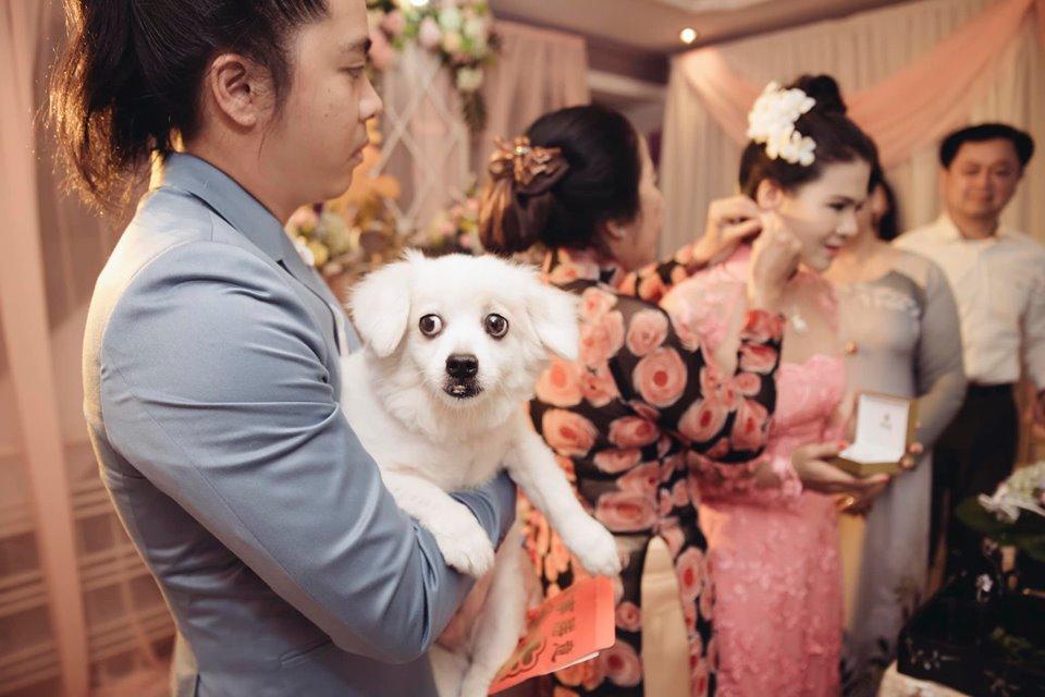 Bức ảnh hài hước nhất ngày: Giữa lễ cưới chú rể phải bồng bế thú cưng để mẹ đẻ đeo trang sức cho vợ-2