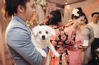 Bức ảnh hài hước nhất ngày: Giữa lễ cưới chú rể phải bồng bế thú cưng để mẹ đẻ đeo trang sức cho vợ