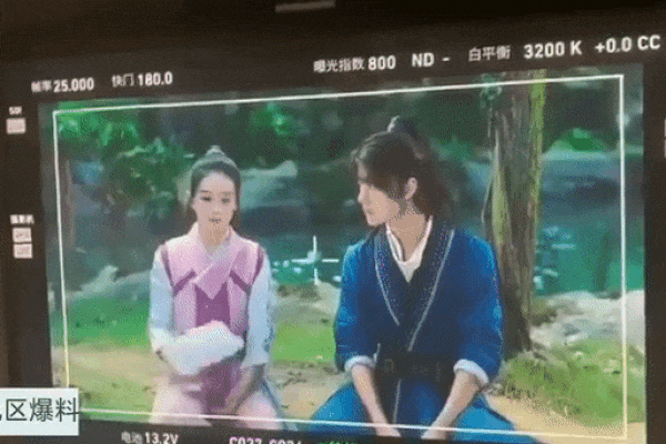 Triệu Lệ Dĩnh ngơ ngác vì miếng ăn đến miệng còn bị giật mất-4