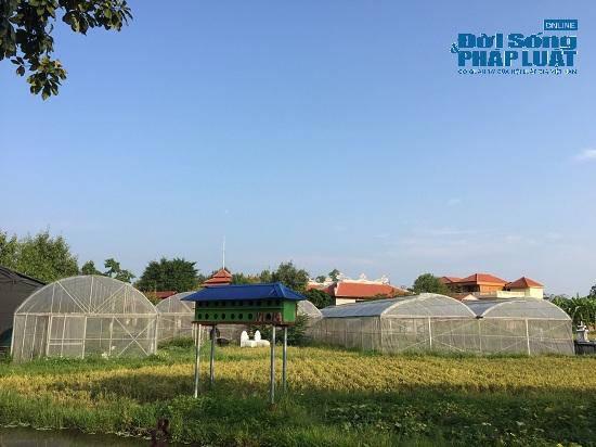 Đột nhập trang trại 300 tỷ của sư thầy Thích Thanh Toàn dưới chân núi Tam Đảo-8