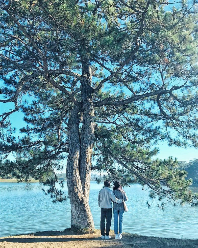 Hãy ghé thăm Đà Lạt và khám phá điểm chụp ảnh cặp đôi tuyệt đẹp như sơn thủy hữu tình, Hồ Xuân Hương đầy màu sắc, hay những ngôi nhà vườn độc đáo. Đừng bỏ lỡ cơ hội tạo những kỷ niệm đáng nhớ tại thành phố ngàn hoa này.