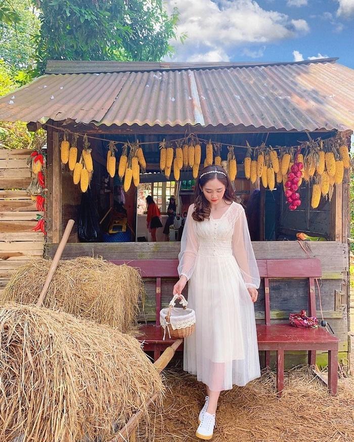 Lộ diện nhiều góc check-in mới toanh cho du khách ở Đà Lạt, còn chần chừ nữa là nuối tiếc hết phần người khác-1