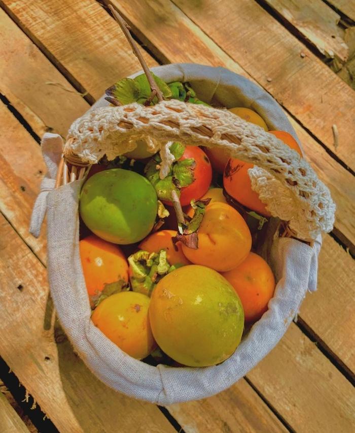 Lộ diện nhiều góc check-in mới toanh cho du khách ở Đà Lạt, còn chần chừ nữa là nuối tiếc hết phần người khác-4