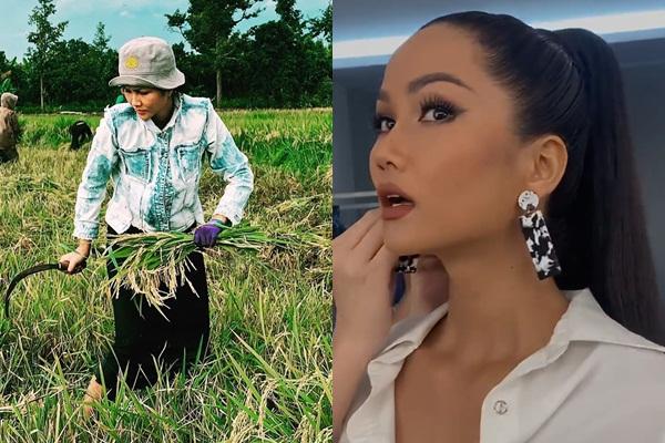 Bản tin Hoa hậu Hoàn vũ 13/10: Thẫn thờ trước giai nhân sắc nước hương trời, hậu bối khó lòng bì kịp-11