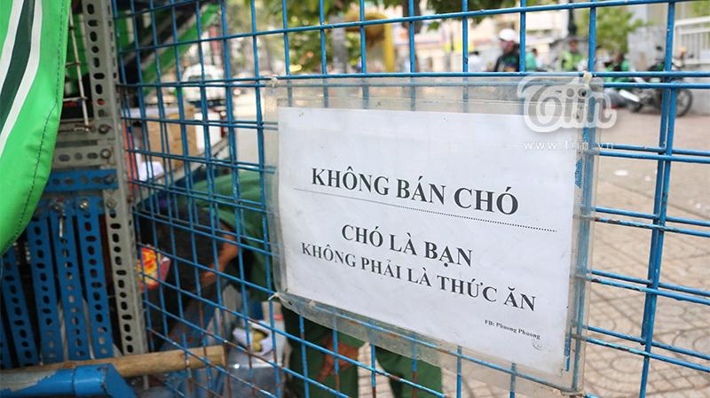 Người cha già nhặt nhạnh từng chiếc ve chai, cưu mang đàn con tật nguyền giữa Sài Gòn hoa lệ-2