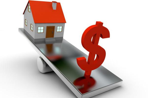 6 loại cây phú quý nên trồng trong nhà giúp lọc không khí, chiêu tài đón lộc-6