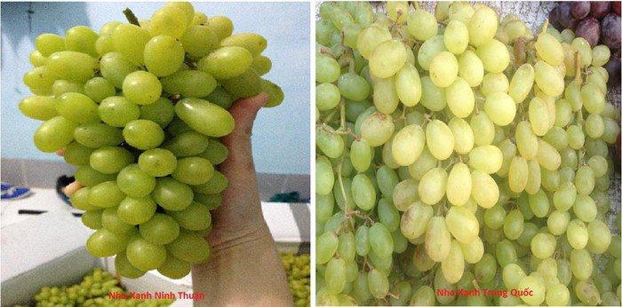 Cách phân biệt nho xanh Trung Quốc với nho xanh Ninh Thuận để chị em tránh mua nhầm-2