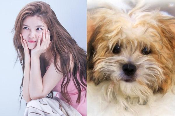 Tử vi thứ Tư ngày 16/10/2019 của 12 con giáp: Tuất lười biếng bị chê trách, Tý khởi sắc công danh-5